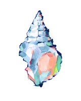 Pop Shell Study II Fine Art Print