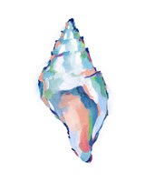 Pop Shell Study IV Fine Art Print