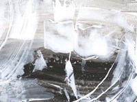 Blizzard Conditions IV Fine Art Print