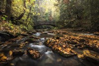 Stone Bridge Fine Art Print