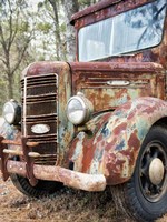 Special Delivery Fine Art Print