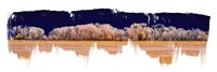 Treeline Panorama Fine Art Print