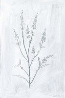 Milkweeds I Fine Art Print
