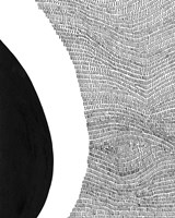 Black & White Abstract II Fine Art Print