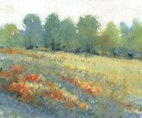 Rural Land I Fine Art Print