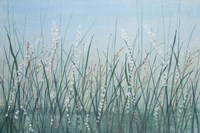 Tall Grass II Fine Art Print