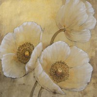 Golden Highlights II Framed Print