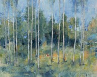 Woodland View I Framed Print