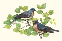 Song Birds I Framed Print