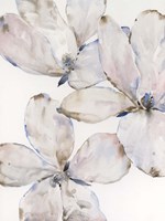 Soft Wind Flowers I Framed Print