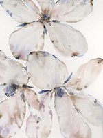 Soft Wind Flowers II Framed Print