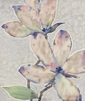 Blossom Study I Framed Print