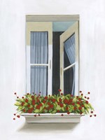 Through the Drapes I Framed Print