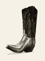 Shiny Boots II Fine Art Print