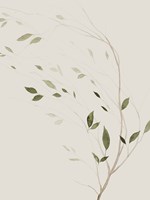 Wind's Whisper II Framed Print