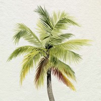 Coco Watercolor Palm I Framed Print