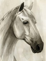 Freckled Pony II Framed Print
