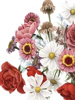 Modern Arrangement II Fine Art Print