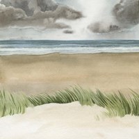 Dune Views I Framed Print