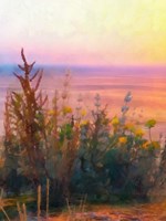 Light of Day II Fine Art Print