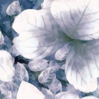 Blue Shaded Leaves I Fine Art Print