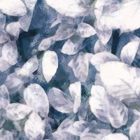 Blue Shaded Leaves III Fine Art Print