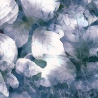 Blue Shaded Leaves IV Framed Print