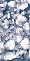 Blue Shaded Leaves VI Framed Print