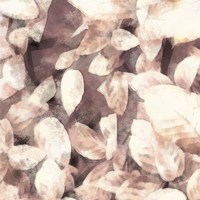 Blush Shaded Leaves III Framed Print