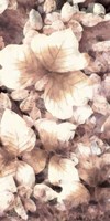 Blush Shaded Leaves V Framed Print