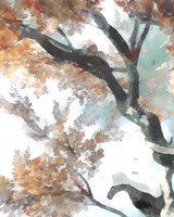 Fall Tree II Framed Print