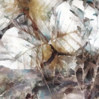 Neutral Summer Leaves II Fine Art Print