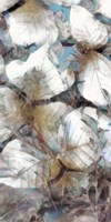 Neutral Summer Leaves IV Fine Art Print