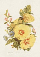 Antique Floral Bouquet VI Fine Art Print