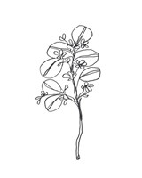 Leaf Sprig II Framed Print