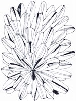 Monochrome Kaleidoscope I Framed Print