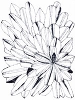 Monochrome Kaleidoscope II Framed Print