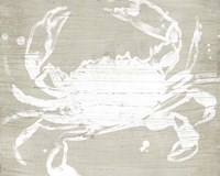 Weathered Crab I Fine Art Print
