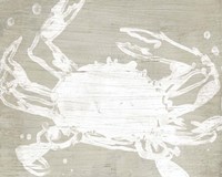 Weathered Crab II Fine Art Print