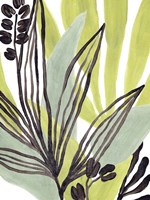 Tropical Collage III Fine Art Print