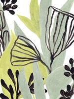 Tropical Collage IV Fine Art Print