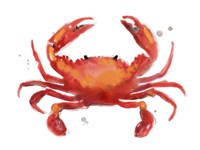 Crab Cameo I Fine Art Print