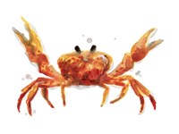 Crab Cameo II Fine Art Print