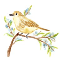 Springtime Songbirds II Fine Art Print