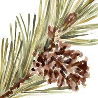 Simple Pine Cone I Fine Art Print