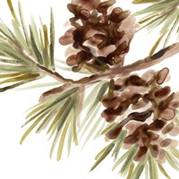 Simple Pine Cone IV Fine Art Print