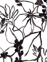 Tropical Outlines III Fine Art Print