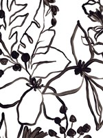 Tropical Outlines IV Fine Art Print