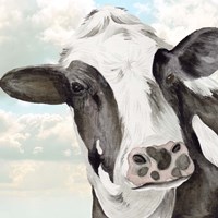 Portrait of a Cow II Framed Print