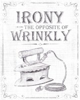 Laundry Today II Framed Print